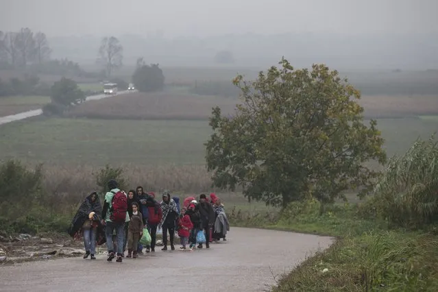 Migrants walk along a road close to the border with Croatia near the village of Berkasovo, Serbia October 19, 2015. The Balkans struggled with a growing backlog of migrants on Monday after Hungary sealed its southern border and Slovenia tried to impose a limit, leaving thousands stranded on cold, wet borders where tempers frayed. (Photo by Marko Djurica/Reuters)