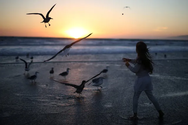 A girl throws bread crumbs into the Pacific Ocean during the Tashlich prayer, a Rosh Hashanah ritual to symbolically cast away sins, during the Nashuva Spiritual Community Jewish New Year celebration on Venice Beach in Los Angeles, California, United States October 3, 2016. (Photo by Lucy Nicholson/Reuters)