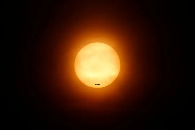 A passenger jet flies past the setting sun in Shanghai March 11, 2014. (Photo by Aly Song/Reuters)