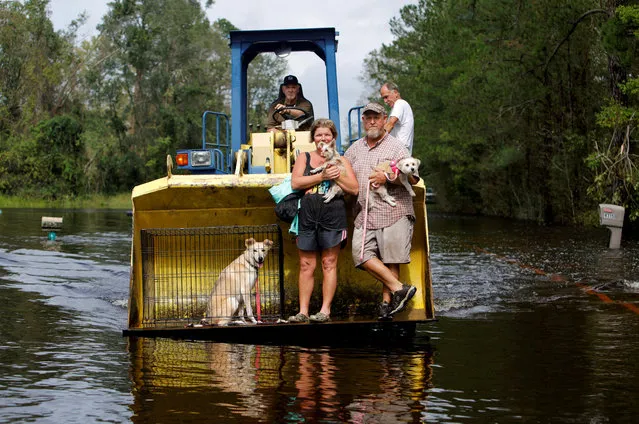 Jimmy Shackleford (74) of Burgaw transports his son Jim Shackleford and his wife Lisa, and their pets Izzy, Bella and Nala (in the cage) in the bucket of his tractor as the Northeast Cape Fear River breaks its banks during flooding after Hurricane Florence in Burgaw, North Carolina on September 17, 2018. (Photo by Jonathan Drake/Reuters)