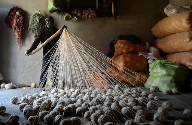 In this photograph taken on February 5, 2015, Afghan labourer, Shir Ahmad (26) sorts carpet wraps at a traditional yarn factory in Mazar-i-sharif of Balkh province. The labourers work from dawn to dusk and earn around four US dollars per day, with the products sold for the local market. (Photo by Farshad Usyan/AFP Photo)