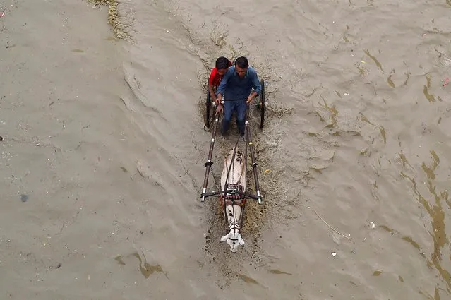 People make their way through a flooded road following heavy monsoon rains in Karachi, Pakistan, 24 July 2023. At least 13 people have been killed, with nine deaths in Khyber Pakhtunkhwa province and four in a landslide in the Skardu area following monsoon rains. With 74 houses damaged and flash floods prompting an emergency declaration in the Chitral district, the death toll since the start of the monsoon season has reached 101 according to provincial and national disaster management authorities. The Pakistan Meteorological Department (PMD) has issued a cautionary advisory to residents in the areas surrounding. The latest weather forecast predicts scattered to widespread wind thunderstorms and rain, ranging from moderate to heavy intensity. The monsoon season continues to impact various parts of South and Central Asia. (Photo by Shahzaib Akber/EPA/EFE)