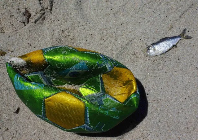 A dead fish is lies next to a soccer ball on the banks of the Guanabara Bay in Rio de Janeiro February 24, 2015. (Photo by Ricardo Moraes/Reuters)