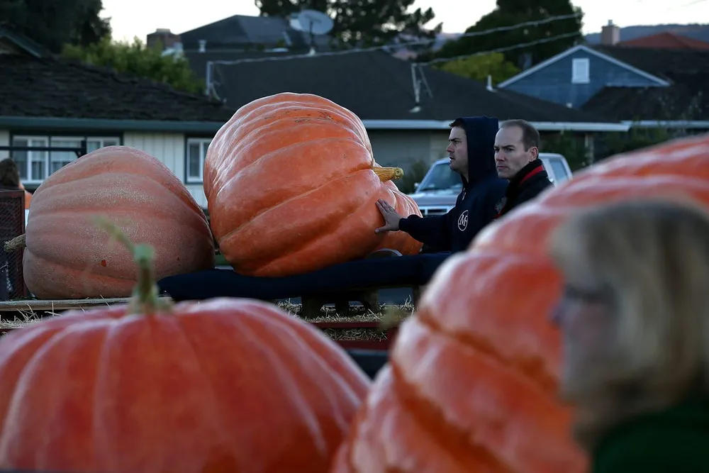 The 40th Annual Safeway World Championship Pumpkin Weigh-Off