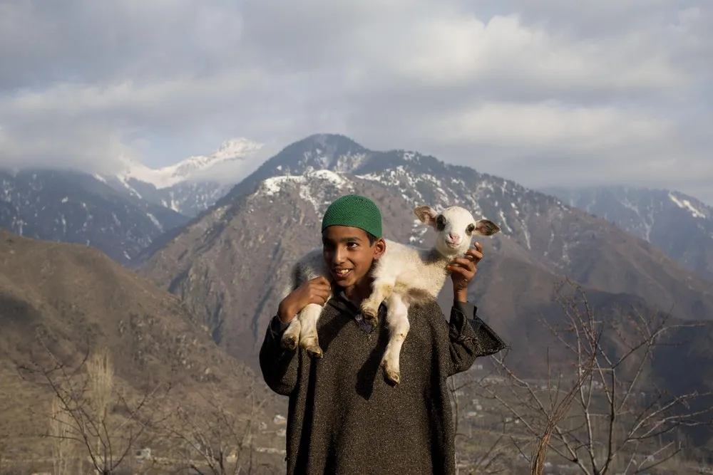 Simply Some Photos: Children