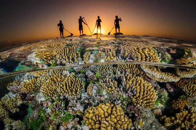 2nd Place, Wide-Angle Category. “Paddle Boarders Sunset”, Ha’apai, Tonga. (Photo by Grant Thomas/The Ocean Art 2018 Underwater Photography Competition)