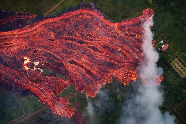 A massive fast moving lava flow consumes everything in its path, as the flames from the remnants of one home burns on the left, while it approaches another on the right. Pahoa, Hawaii, USA, 19 May 2018. The ongoing eruption of Kilauea is the largest in decades, destroying more than 40 homes to date, and displacing thousands. (Photo by Bruce Omori/EPA/EFE/Paradise Helicopters/Rex Features/Shutterstock)