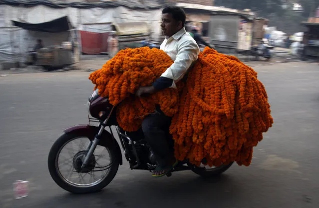 A vendor transports garlands of marigold flowers on his motorcycle to sell at a market ahead of Diwali, the Hindu festival of lights, in the northern Indian city of Allahabad November 11, 2012. (Photo by Jitendra Prakash/Reuters)