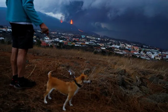 A man walks his dog through Los Berros Mountain in El Paso with the Cumbre Vieja volcano in the background, on the Canary Island of La Palma, Spain, October 24, 2021. (Photo by Borja Suarez/Reuters)