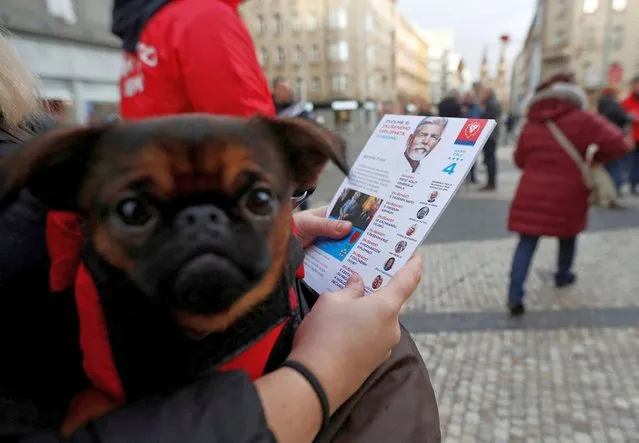 A supporter of presidential candidate and former chairman of the NATO Military Committee and Czech Army General Petr Pavel hands out leaflets, ahead of a direct presidential election that will start on January 13, in Prague, Czech Republic on January 5, 2023. (Photo by David W. Cerny/Reuters)