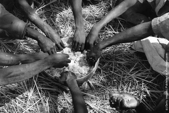 1950: Rice field workers taking their lunch from a communal bowl