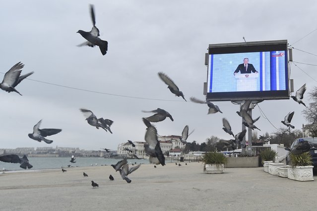 Pigeons take off from the beach in front of a tv screen showing Russian President Vladimir Putin during his annual state of the nation address in in Sevastopol, Crimea, Tuesday, Feb. 21, 2023. (Photo by AP Photo/Stringer)