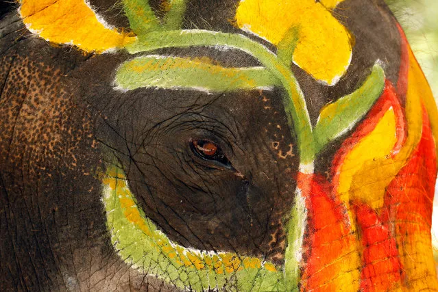 An elephant is painted in celebration of the Songkran water festival in Ayutthaya province, north of Bangkok, Thailand April 11, 2017. (Photo by Chaiwat Subprasom/Reuters)