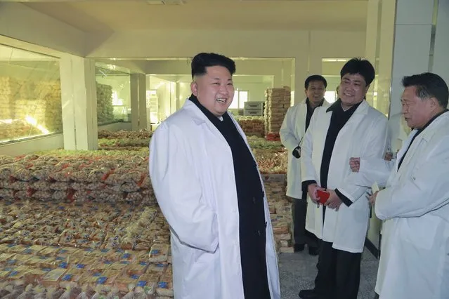 North Korean leader Kim Jong Un provides field guidance at Kumkop General Foodstuff Factory for Sportspersons in this undated photo released by North Korea's Korean Central News Agency (KCNA) in Pyongyang January 18, 2015. (Photo by Reuters/KCNA)