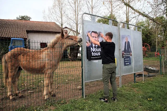 An employee of France Affichage company glues a campaign poster of French President and centrist candidate for reelection Emmanuel Macron in Ahetz, southwestern France, Friday, April 15, 2022. France will vote on Sunday April 24 in the second round of the presidential election. (Photo by Bob Edme/AP Photo)