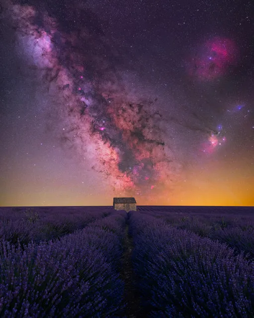 House of Lavender – Valensole, France. “I captured this image of the Milky Way last summer in Valensole, France. The smell and atmosphere of these lavender fields are unreal, and standing there among them in the middle of the night is blissful, especially since the bees have gone to sleep and you don’t risk getting stung! Nothing is better than a warm summer night with a beautiful view of the night sky and this lonely, iconic house that sits in the middle of the lavender plateau”. (Photo by Benjamin Barakat/Milky Way Photographer of the Year)