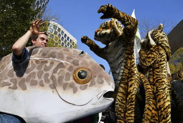 Climate activists wear costumes as they participate in a climate march in Brussels, Sunday, October 10, 2021. Some 80 organizations are joining in a climate march through Brussels to demand change and push politicians to effective action in Glasgow later this month. (Photo by Geert Vanden Wijngaert/AP Photo)