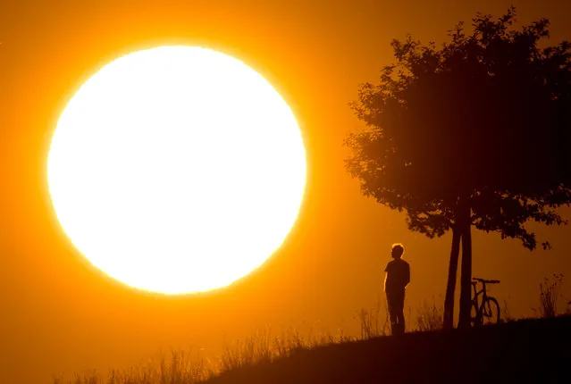 A man standing on a hill under a tree is silhouetted against the evening sun in Hanover, Germany, 17 July 2017. (Photo by Julian Stratenschulte/DPA/Bildfunk)