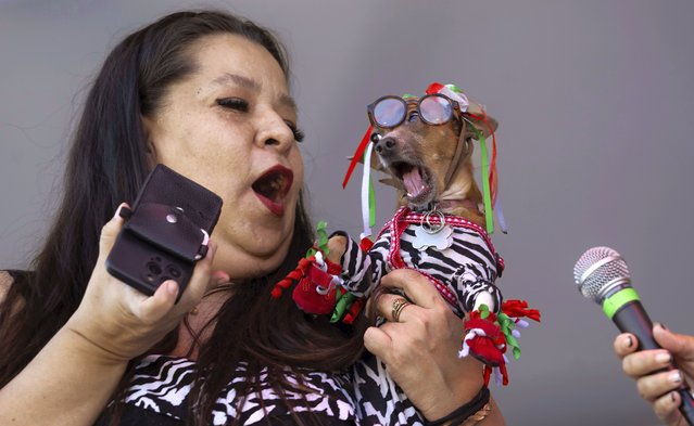 Lulu and her owner, Cynthia “the dog lady”, Lopez, perform a duet during the Silverado Days Mutt Show in Buena Park on Sunday, October 20, 2024. (Photo by Mindy Schauer/The Orange County Register via AP Photo)