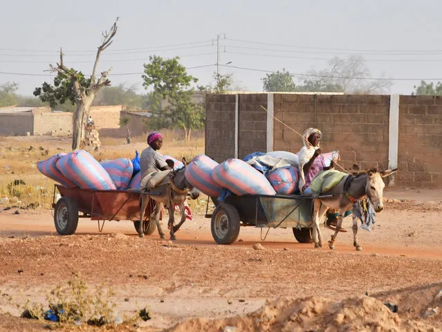 Displaced women, who fled from attacks of armed militants in town of Roffenega, ride donkey carts loaded with food aid at the city of Pissila, Burkina Faso on January 23, 2020. (Photo by Anne Mimault/Reuters)