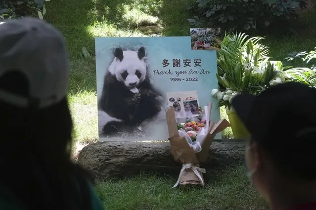 A bouquet of flowers is placed to mourn the death of Chinese giant panda An An at the Ocean Park of Hong Kong, Thursday, July 21, 2022. The oldest-ever male giant panda in captivity has died at age 35 at the Hong Kong theme park after his health deteriorated. (Photo by Kin Cheung/AP Photo)