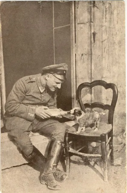 A german sergeant (unteroffizier) from Flieger-Abteilung 9, something for the fellows from the Flying Circus, feeding a puppy during WWI. Circa 1915