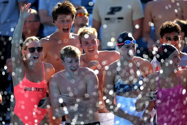 Fans cheer during the Women's LC 400 Meter IM Final during day three of the 2022 Phillips 66 National Championships on on July 28, 2022 in Irvine, California. (Photo by Sean M. Haffey/Getty Images)