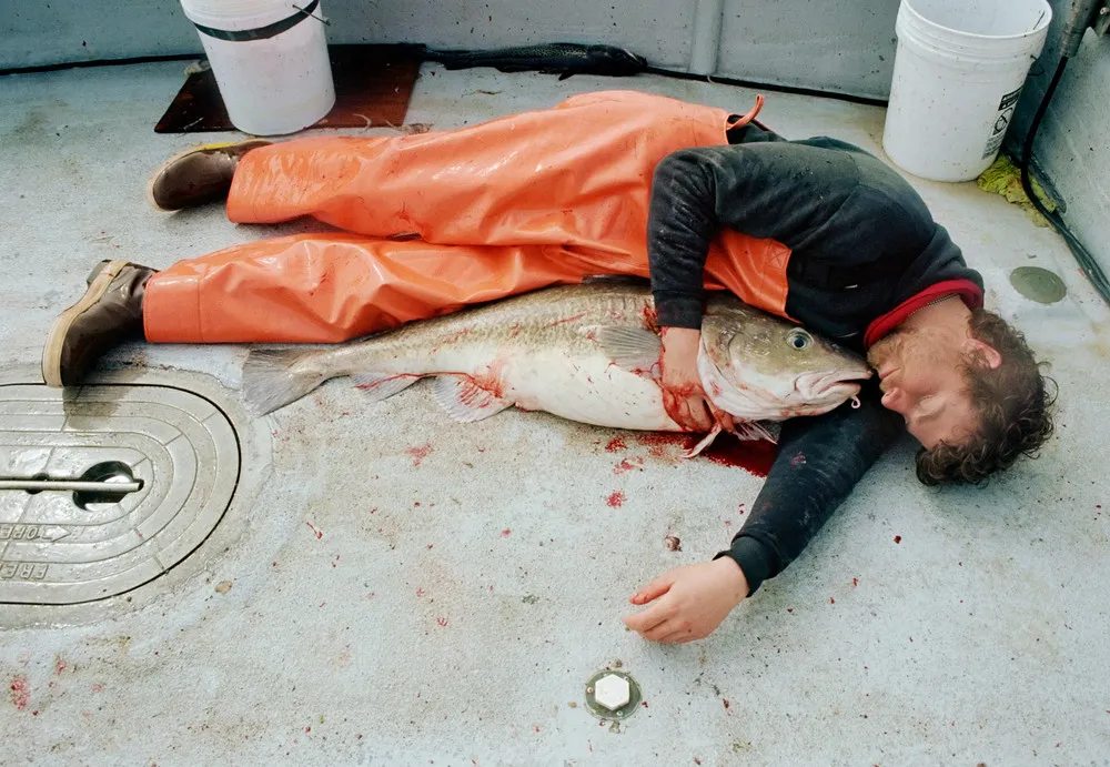 Daily Life of Fishermen on Alaska's Bering Sea