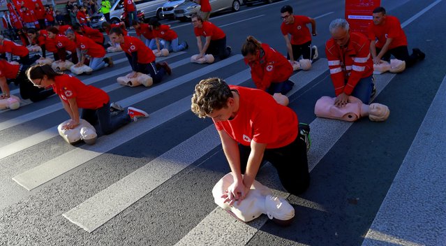 Romanian volunteers perform resuscitation maneuvers on medical mannequins during a flash mob held on a pedestrian crossing in central Bucharest, Romania, 16 October 2023, to mark World Resuscitation Day. The Romanian Red Cross marks the World Resuscitation Day through a flash mob with 50 volunteers performing resuscitation maneuvers on mannequins, at the Romana Square in the capital of Romania. World Resuscitation Day, celebrated on 16 October, was adopted for the need to prepare the population for emergency situations and educate them to learn resuscitation techniques. (Photo by Robert Ghement/EPA/EFE)