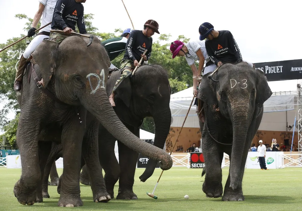 Playing Polo with Elephants
