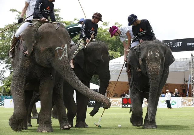 Elephant polo competitors from Mercedes-Benz Thailand and The Peninsula  battle for the ball on first day's play at the King's Cup Elephant Polo Tournament 2014 held near Bangkok, in Samut Prakan province, Thailand, 28 August 2014. (Photo by Barbara Walton/EPA)