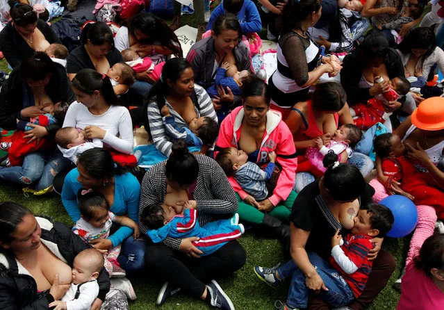 Mothers breastfeed their babies, as part of the celebration for World Breastfeeding Week, at Lovers Park in Bogota, Colombia, August 3, 2016. (Photo by John Vizcaino/Reuters)