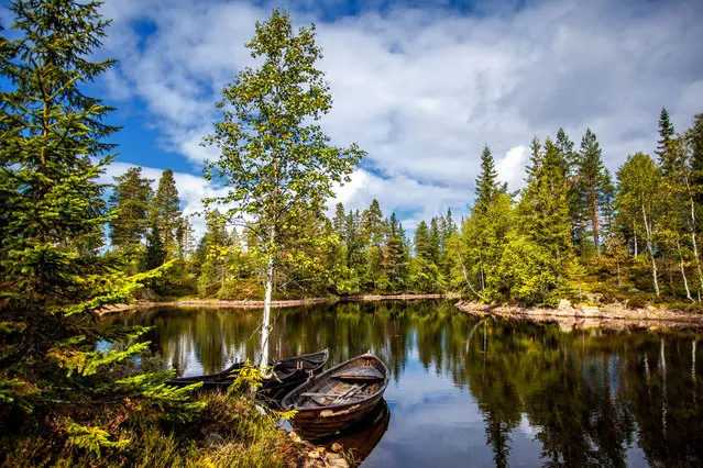 Two old and abandoned wooden boats. This picture is taken in Drammen, Norway. The forest is called Drammensmarka. (Photo by Aa.Sætrenes/Getty Images)