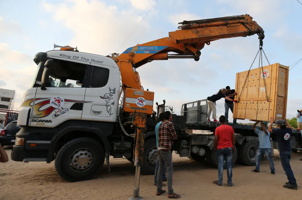 “World's Worst Zoo” in Gaza Shut Down