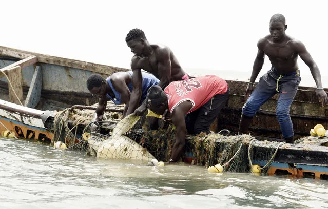Senegalese fishermen save a sea turtle from their fishing nets in Joal, Senegal, on June 16, 2020, where people are being made aware of the importance to save endangered species, which regulate the ecosystem and help maintain fish abundance. (Photo by Seyllou/AFP Photo)