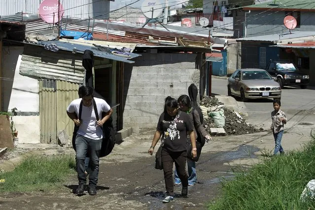 Youths walk to attend their music lessons at the Integral System of Artistic Education for Social Inclusion (SIFAIS) center in the poor neighborhood of La Carpio, Costa Rica September 12, 2015. SIFAIS center is developing a social program with the help of 156 volunteers who teach art, music, sports and education, for children and youth living in La Carpio, known for being the home to gangs, violence, drugs and social vulnerability, according to the centre. (Photo by Juan Carlos Ulate/Reuters)