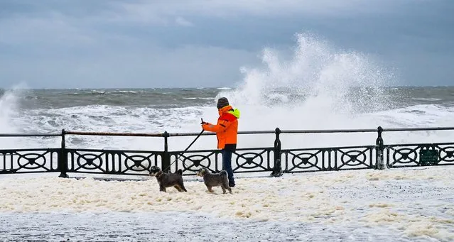 A dog walker wades through sea foam which looks more like snow on Hove seafront in Brighton, United Kingdom on January 7, 2023 as storms batter the South Coast today with strong winds and rain. (Photo by Simon Dack/Alamy Live News)