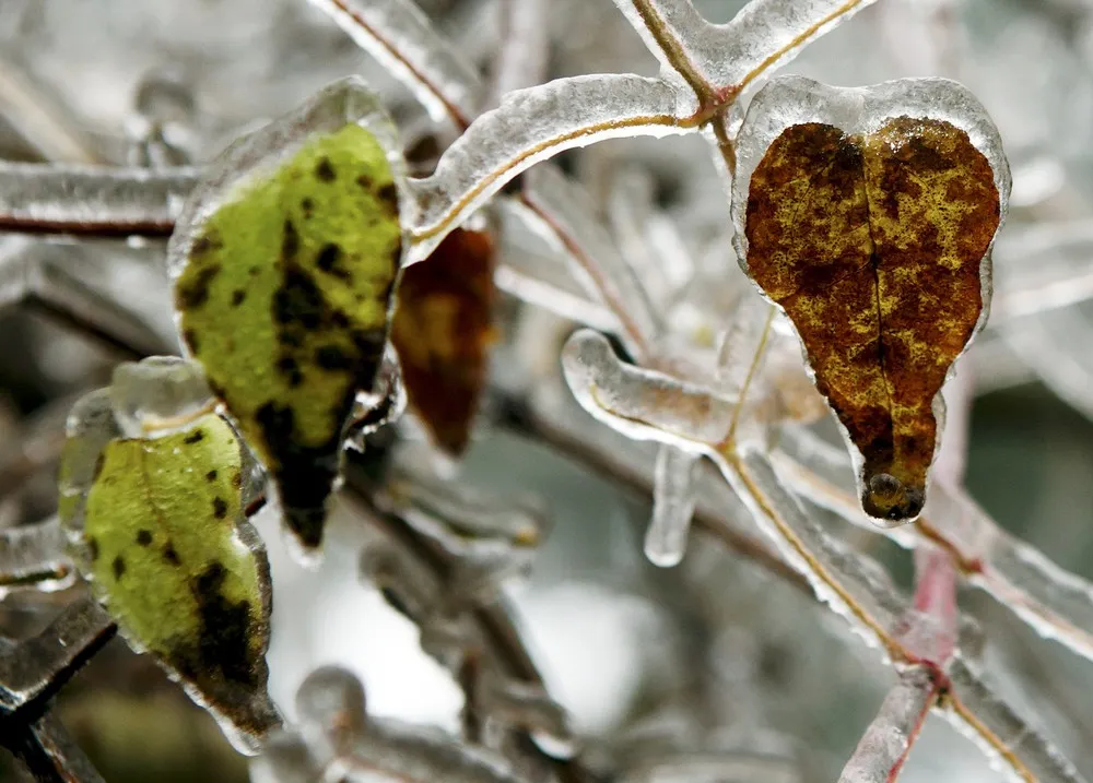 Europe Faces Cold Winter