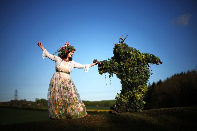 The Green Man and his Queen perform during the Celtic fire festival Beltain in Waterlooville, southern England on May 4, 2024. The festival, a modern annual participatory arts event, celebrates the Gaelic May Day festival and marks the beginning of summer. Historically it was widely observed in Ireland, Scotland and the Isle of Man. Rituals were performed to protect cattle, people and crops, and to encourage growth. Special bonfires were kindled, whose flames, smoke and ashes were deemed to have protective powers. The people and their cattle would walk around or between bonfires, and sometimes leap over the flames or embers. All household fires would be doused and then re-lit from the Beltane bonfire. (Photo by Henry Nicholls/AFP Photo)