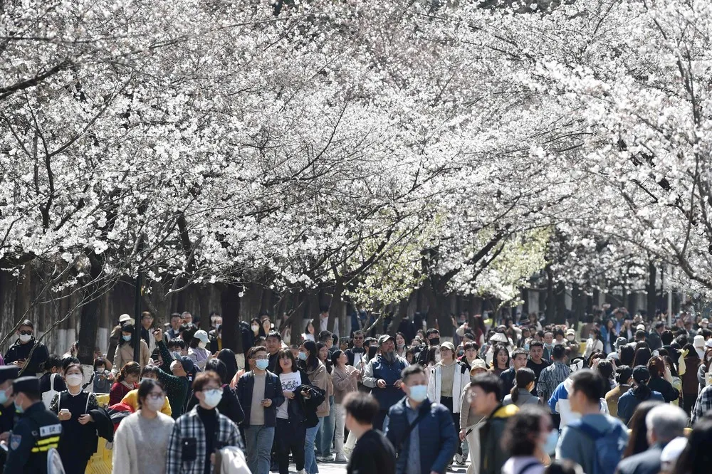 A Look at Life in China