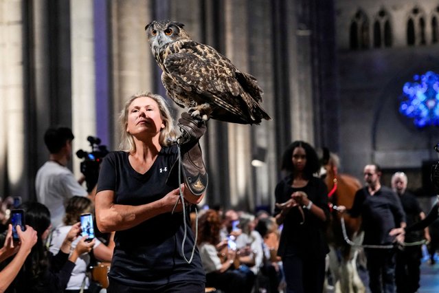 A handler holds an owl as they arrive to the cathedral during the Procession of the Animals at the annual Feast of Saint Francis and Blessing of the Animals at The Cathedral of St. John the Divine in the Manhattan borough of New York, on October 5, 2025. (Photo by Eduardo Munoz/Reuters)