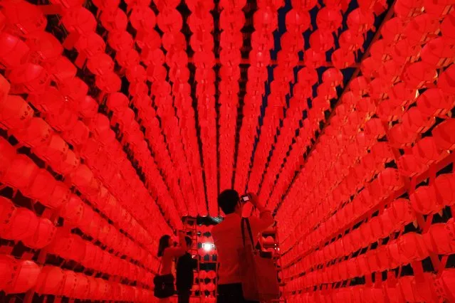 Visitors take pictures of lanterns during the Lotus Lantern Festival to celebrate the upcoming birthday of Buddha on May 17, at Jogye temple in Seoul, South Korea, Sunday, May 12, 2013. (Photo by Ahn Young-joon/AP Photo)