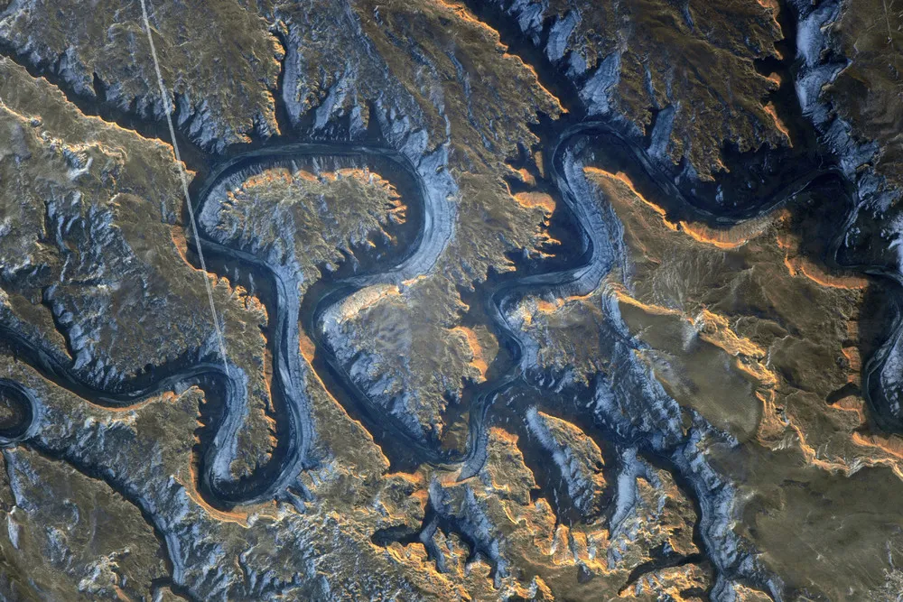 See 2014 from Space