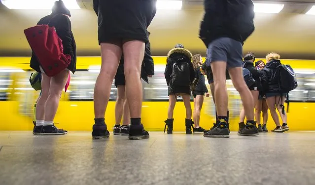 People take part in the No Pants Subway Ride in Berlin January 11, 2015. The No Pants Subway Ride is an annual event that has become a global celebration of bare thighs. The “celebration of silliness” is designed to make other Tube riders smile. (Photo by Hannibal Hanschke/Reuters)