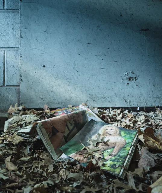 A stash of nudie magazines hidden long ago in the basement of a kitchen area. (Photo by Will Ellis/Caters News)