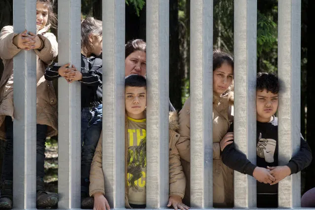 Members of a group of some 30 migrants seeking asylum are seen in Bialowieza, Poland, on Sunday, 28 May 2023 across a wall that Poland has built on its border with Belarus to stop massive migrant pressure. The group has remained stuck at the spot for three days, according to human rights activists. (Photo by Agnieszka Sadowska/AP Photo)