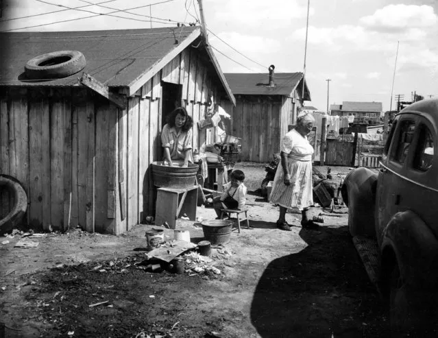 Salome Cervantes, wife of a cotton picker, hand washes the family laundry in front of their window-less shack at a camp for migratory farmworkers near Fresno, Ca., March 22, 1950. (Photo by AP Photo)