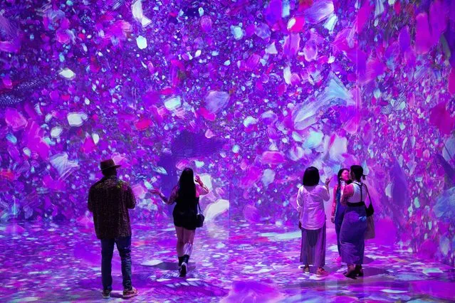 People visit the exhibit, “Pixelbloom Timeless Butterflies”, at ARTECHOUSE in Washington, DC in Washington, DC, USA, 09 June 2023. “Pixelbloom” which is inspired by the spring season, wraps up this weekend and is last open to the public 11 June. (Photo by Michael Reynolds/EPA)