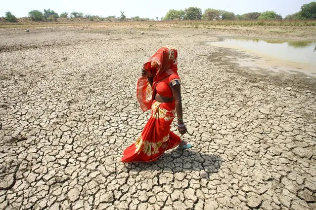 A woman walks on the bottom of a dried pond on a hot day in Mauharia village in the northern state of Uttar Pradesh, India on May 4, 2022. (Photo by Ritesh Shukla/Reuters)