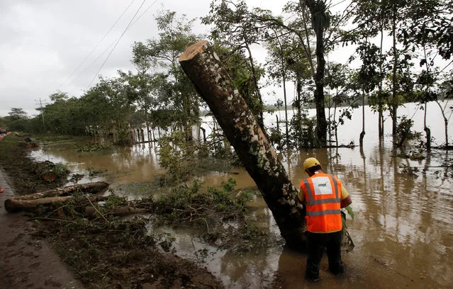 An emergency worker cuts trees while attempting to restore electricity in a zone affected by Hurricane Otto in Bijagua de Upala, Costa Rica, November 26, 2016. (Photo by Juan Cordero/Reuters)